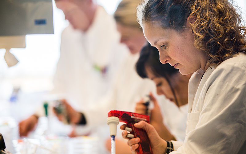 BIO academia partnerships are a focus of many R&D leaders. Here is an image of researchers in a lab.