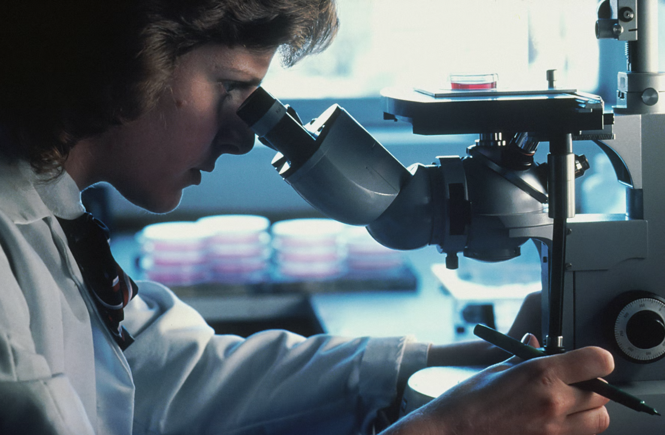 Scientist looking through an inverted microscope at cells. ARPA-H has several primary areas of investment.