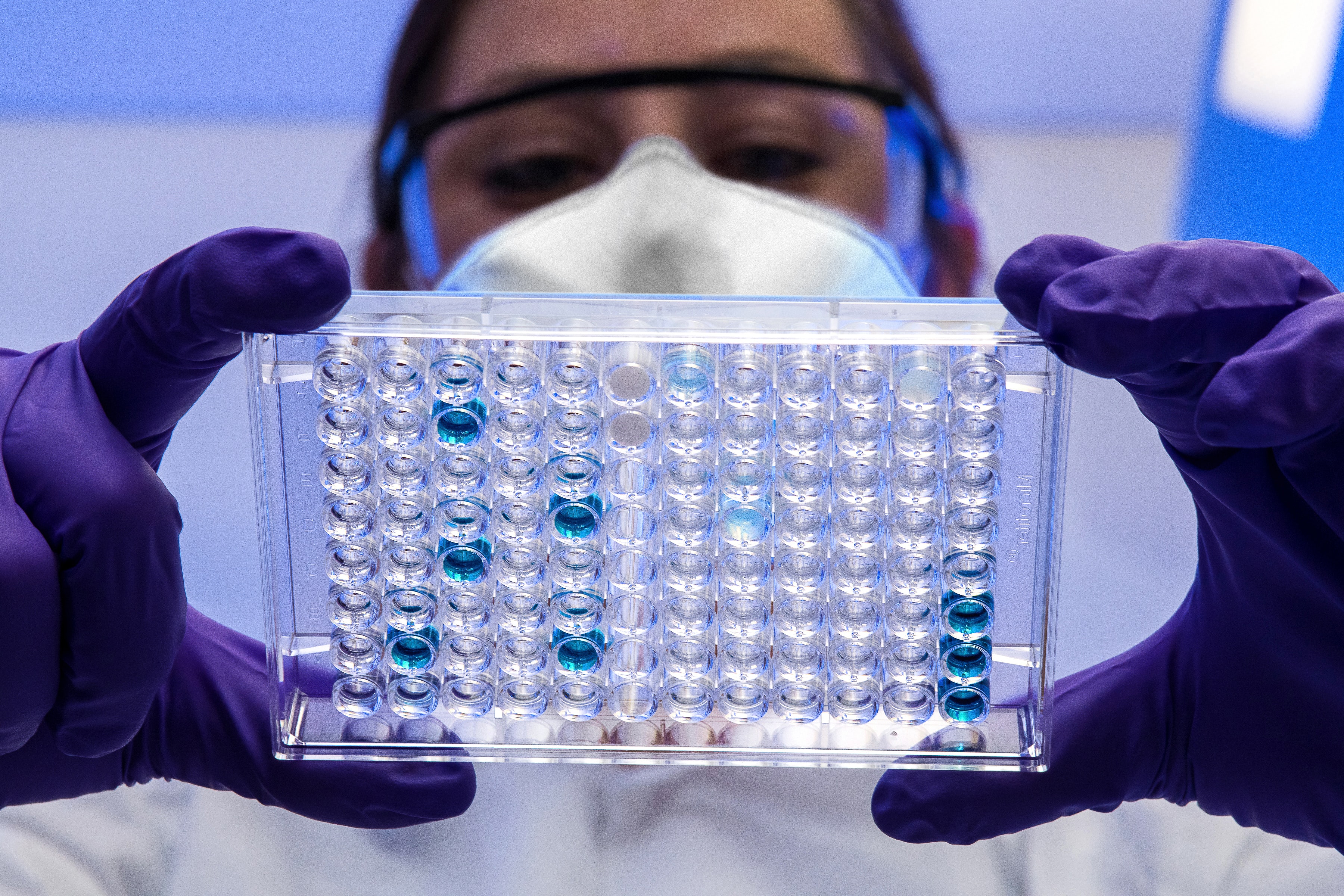 CDC scientist reviewing a plate with serological test samples. We dicuss what you need to know about ARPA-H.